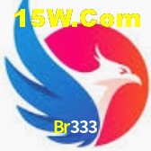 Ofertas Exclusivas Br333