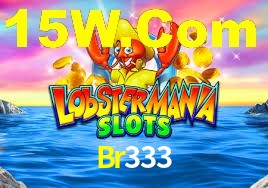 Br333