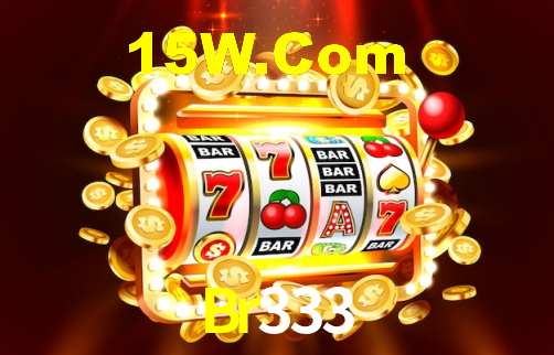 Interface Premium Br333