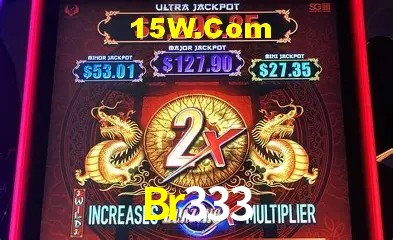 Recursos de Bônus Br333