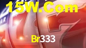 Br333 App